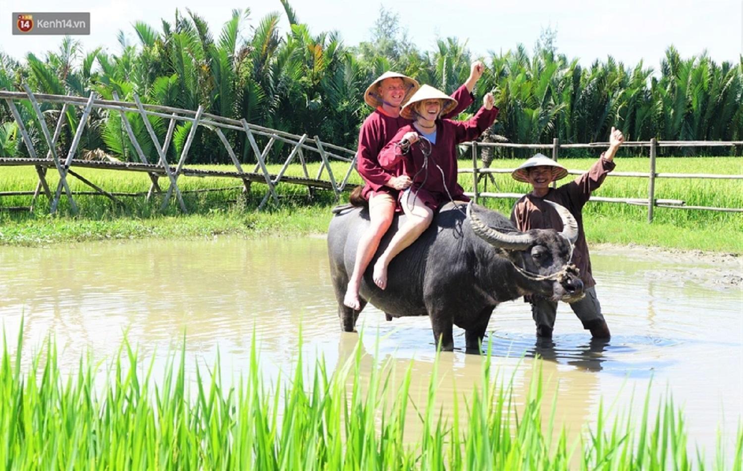 Tam Coc Sunshine Hostel Vu Lam Esterno foto